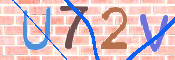 Obraz CAPTCHY
