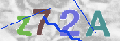 Obraz CAPTCHY